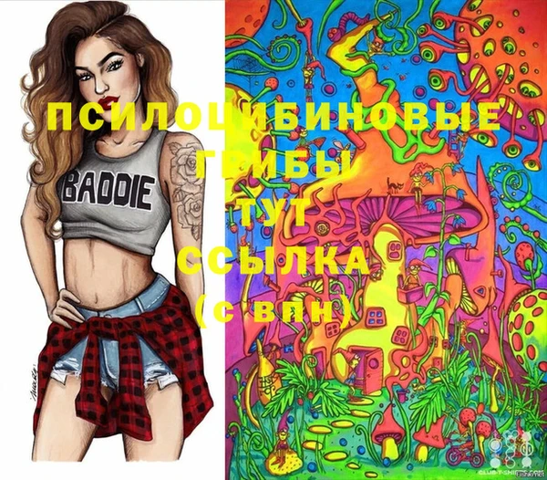 твердый Нефтекумск