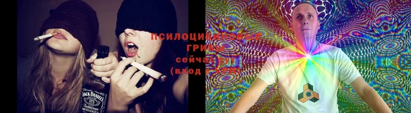 МДМА Новозыбков