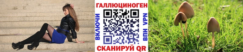 ссылка на мегу Кизел Псилоцибиновые грибы Magic Shrooms