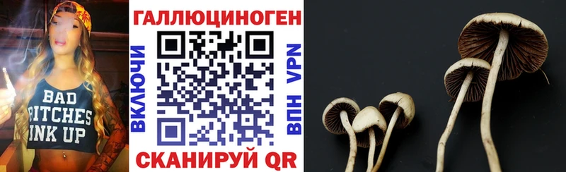 Псилоцибиновые грибы мухоморы Кизел
